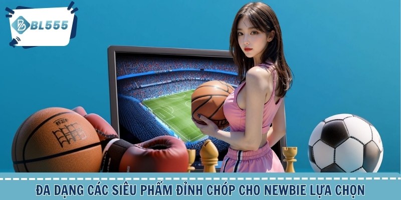 Đa dạng các siêu phẩm đỉnh chóp cho newbie lựa chọn