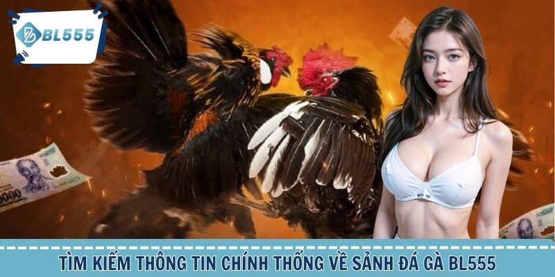 Tìm kiếm thông tin chính thống về sảnh đá gà BL555